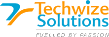 Techwize Solutions